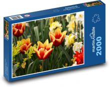 Tulipany - wiosenny kwiat, ogród Puzzle 2000 elementów - 90x60 cm