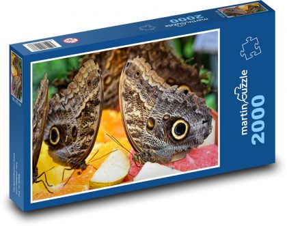 Banana butterfly - insects, animal - Puzzle 2000 pieces, size 90x60 cm 