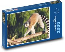 Lemur - zvíře, opice Puzzle 2000 dílků - 90 x 60 cm