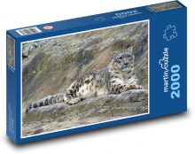 Leopard - irbis, dravec Puzzle 2000 dílků - 90 x 60 cm
