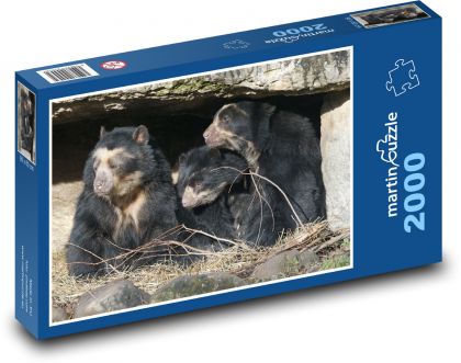 Medvěd brýlatý - rodina, zoo - Puzzle 2000 dílků, rozměr 90x60 cm