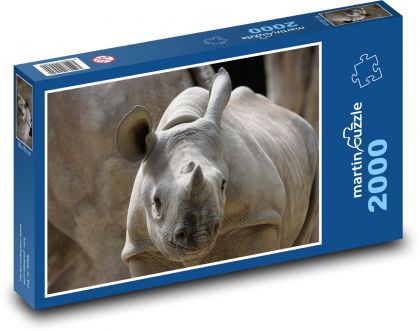 Rhinoceros - cub, zoo - Puzzle 2000 pieces, size 90x60 cm 