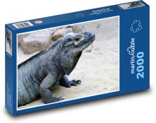 Iguana - lizard, reptile Puzzle 2000 pieces - 90 x 60 cm