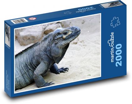 Iguana - lizard, reptile - Puzzle 2000 pieces, size 90x60 cm 