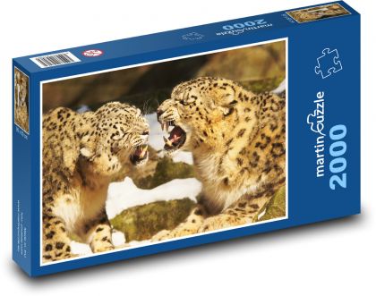 Levharti - kočka, zoo - Puzzle 2000 dílků, rozměr 90x60 cm