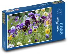 Pansies - spring flowers, garden Puzzle 2000 pieces - 90 x 60 cm