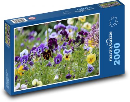 Pansies - spring flowers, garden - Puzzle 2000 pieces, size 90x60 cm 