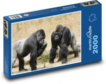 Gorilla - two monkeys Puzzle 2000 pieces - 90 x 60 cm