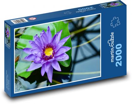 Purple water lily - water plant, flower - Puzzle 2000 pieces, size 90x60 cm 