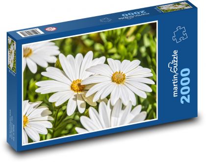 Petals - daisy, flower - Puzzle 2000 pieces, size 90x60 cm 