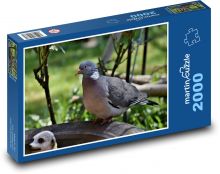 Dove - bird, feather Puzzle 2000 pieces - 90 x 60 cm