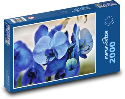 Blue orchid - flowers, plant - Puzzle 2000 pieces, size 90x60 cm 