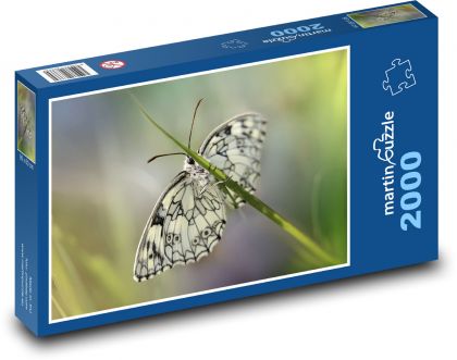 Butterfly - winged insects, wings - Puzzle 2000 pieces, size 90x60 cm 