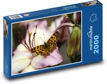 Motýľ na kvetine - ľalia, makro Puzzle 2000 dielikov - 90 x 60 cm