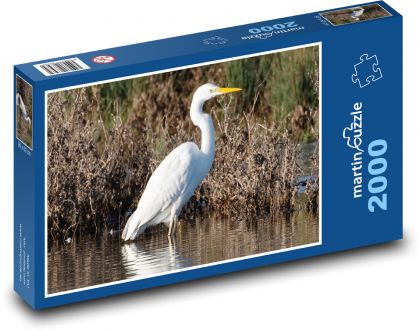 White heron - lake, wading bird - Puzzle 2000 pieces, size 90x60 cm 