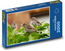 Sparrow - bird, beak Puzzle 2000 pieces - 90 x 60 cm