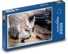 Kangaroo - cub, animal Puzzle 2000 pieces - 90 x 60 cm