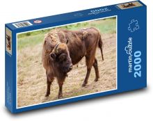 Buffalo - animal, mammal Puzzle 2000 pieces - 90 x 60 cm