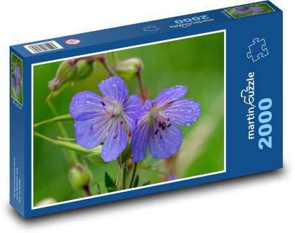 Modrá květina - okvětní lístky, louka - Puzzle 2000 dílků, rozměr 90x60 cm