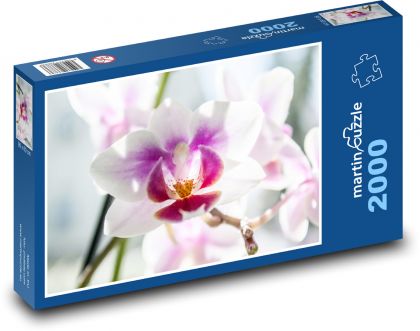 Orchidej - růžový květ, květina - Puzzle 2000 dílků, rozměr 90x60 cm