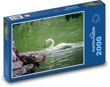 Biela labuť - vodný vták, jazero Puzzle 2000 dielikov - 90 x 60 cm