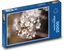 Cherry blossoms - sakura, cherries Puzzle 2000 pieces - 90 x 60 cm