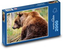 Medvěd hnědý - grizzly, zvíře Puzzle 2000 dílků - 90 x 60 cm