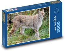 Lynx island - beast, predator Puzzle 2000 pieces - 90 x 60 cm