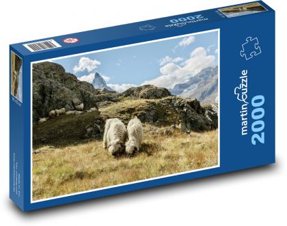 Wallisian black-nosed sheep - mountains, pasture - Puzzle 2000 pieces, size 90x60 cm 