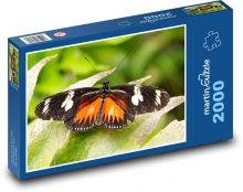 Motyl - egzotyczne owady, skrzydła Puzzle 2000 elementów - 90x60 cm