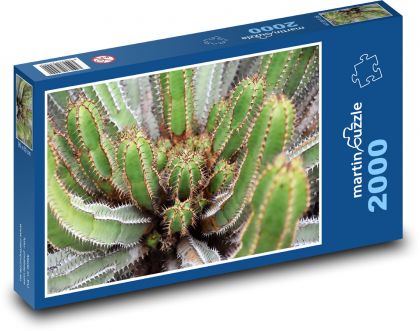 Cactus - prickly plant, flower - Puzzle 2000 pieces, size 90x60 cm 