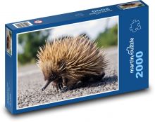 Hedgehog - wild animal, mammal Puzzle 2000 pieces - 90 x 60 cm