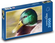 Wild duck - duck, water bird Puzzle 2000 pieces - 90 x 60 cm