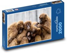 Monkeys - family, primates Puzzle 2000 pieces - 90 x 60 cm