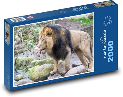 Lion - mammal, animal - Puzzle 2000 pieces, size 90x60 cm 