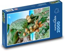 Prickly pear - cactus, fruit Puzzle 2000 pieces - 90 x 60 cm