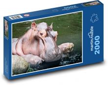 Hippo in the water - animal, mammal Puzzle 2000 pieces - 90 x 60 cm