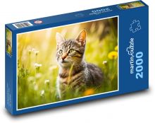 Kočka - kotě, tráva Puzzle 2000 dílků - 90 x 60 cm