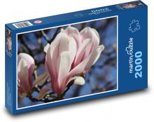 Kwiat magnolii - roślina, wiosna Puzzle 2000 elementów - 90x60 cm