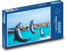 Delfiny - akwarium, skoki Puzzle 2000 elementów - 90x60 cm