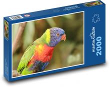 Parrot  - bird, animal Puzzle 2000 pieces - 90 x 60 cm