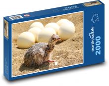 Ostrich - cub, egg Puzzle 2000 pieces - 90 x 60 cm