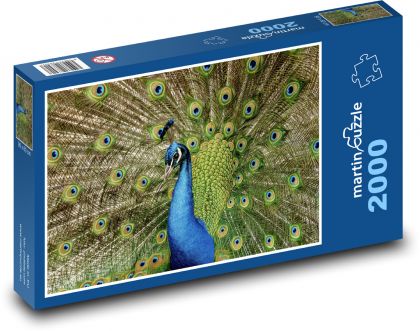 Peacock - bird, peacock feathers - Puzzle 2000 pieces, size 90x60 cm 