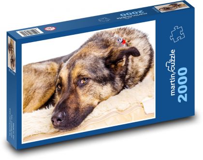 German Shepherd - dog, animal - Puzzle 2000 pieces, size 90x60 cm 