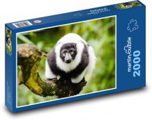 Lemur - zblízka, zvíře Puzzle 2000 dílků - 90 x 60 cm