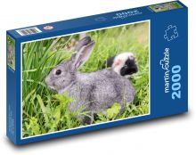 Rabbit - animal, rodent Puzzle 2000 pieces - 90 x 60 cm