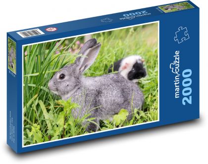 Rabbit - animal, rodent - Puzzle 2000 pieces, size 90x60 cm 