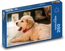 Dog Puzzle 260 pieces - 41 x 28.7 cm 