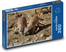 Meerkat Puzzle 260 dielikov - 41 x 28,7 cm 