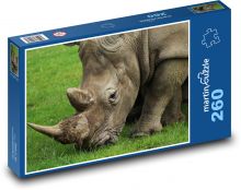 Rhino Puzzle 260 dielikov - 41 x 28,7 cm 